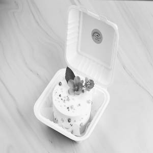 BENTO CAKE SMALL