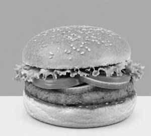 Fresh Veggy Burger