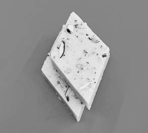 Kesar Barfi [1 Piece]