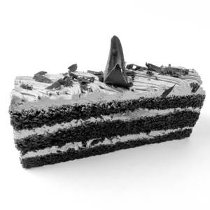Silk Cake Pastry