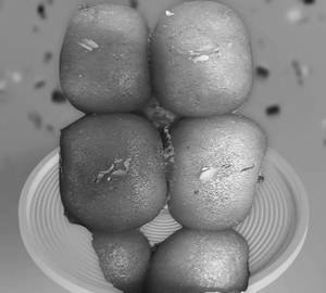 Long Gulab Jamun
