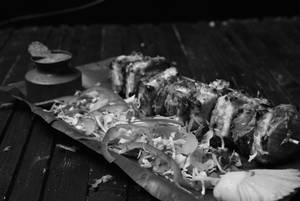 Gongura Paneer Tikka