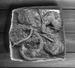 Fish Kalia