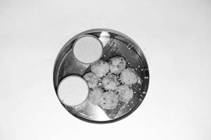 Butter Garlic Button Idli - 8 Pcs