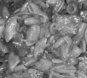 Pasta Mashala