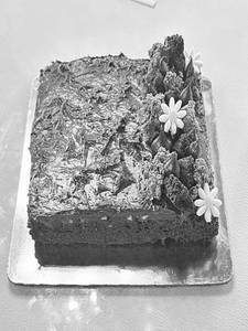 Brownie N Truffle Cake (500grams)