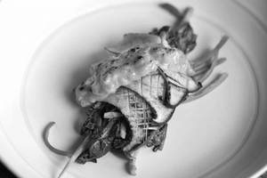 Oyster Motoyakii
