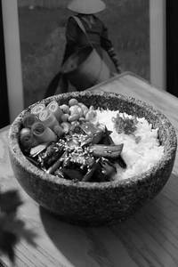 Donburi Rice Bowl