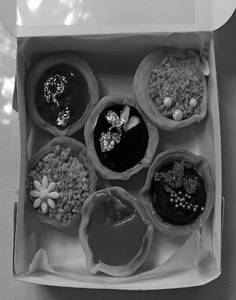 Assorted Tarts  ( PACK OF 6 )