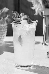 Lychee Twist Mojito