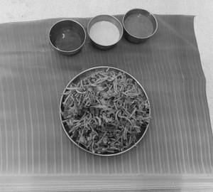 Mushroom Noodles