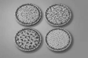 4 Single Topping Pizza [6 Inches]