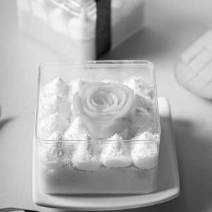 Mango Tres Leches-O