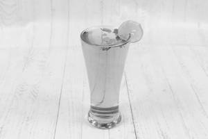 Mint Mojito