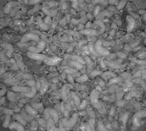 Egg Pasta Mashala