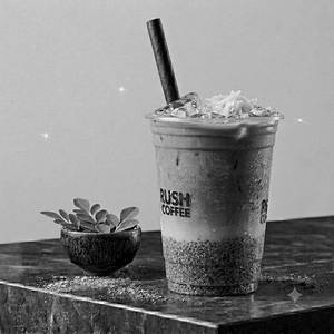 Coconut Vanilla Moringa Cooler