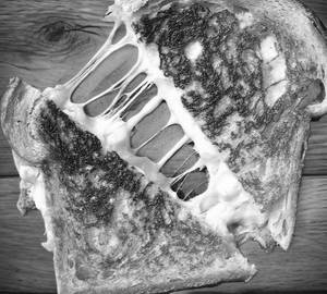 Cheese sandwich