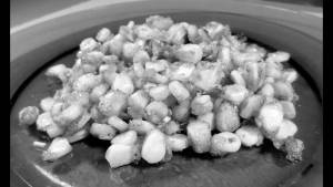 Large American Corns Salted