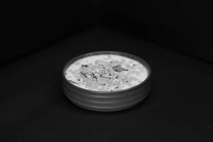 Boondi Raita