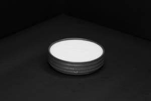 Plain Curd