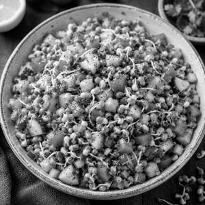 Sprout Salad