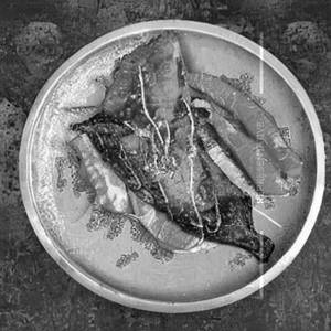 Apollo Fish