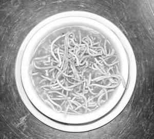 Manchu Soup
