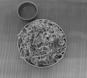 Veg Noodles