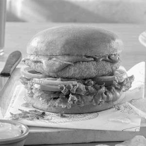 Cottage Cheese Burger