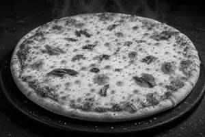 Double Cheese Margherita Pizza