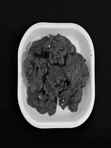 Cashew Rocks