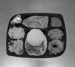 Mini tiffin 1