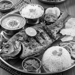 Fish Meals Full