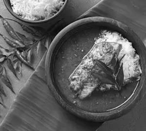 Fish Meals