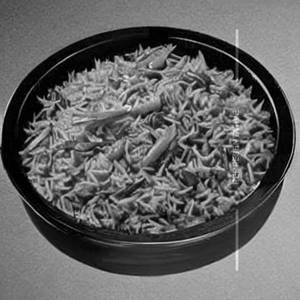 Special Non Veg Rice