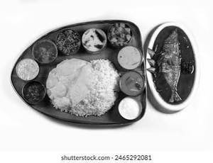 Fish Meals