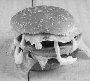 Cheese Burger