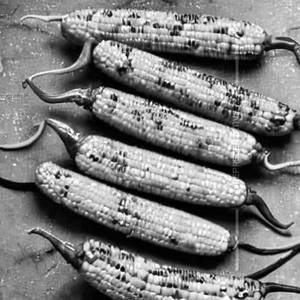 Corn Chillies