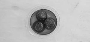 Gulab Jamun