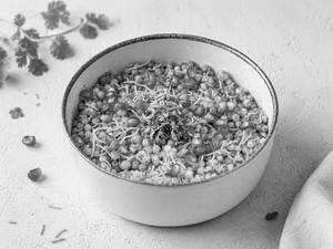 Sago Bhel