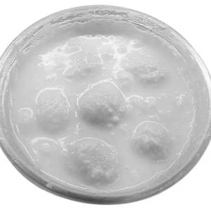 Chanar Payesh (100gms)