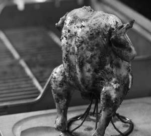 Grilled Chicken