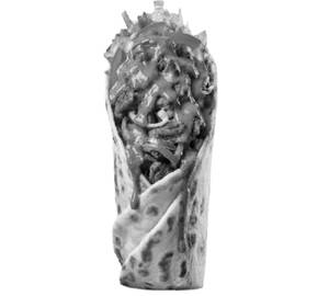 Tandoori Wrap [1]