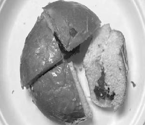 Jam Muska Bun