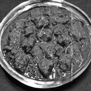 Gakka Bharta