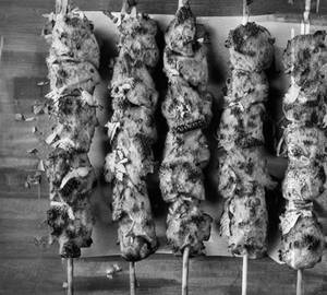 Chicken mamna kebab