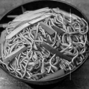 Veg schezwan hakka noodle
