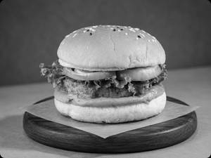 Spicy Crunch Chicken Burger