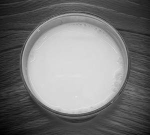 Buttermilk