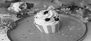 Blueberry Cupcake